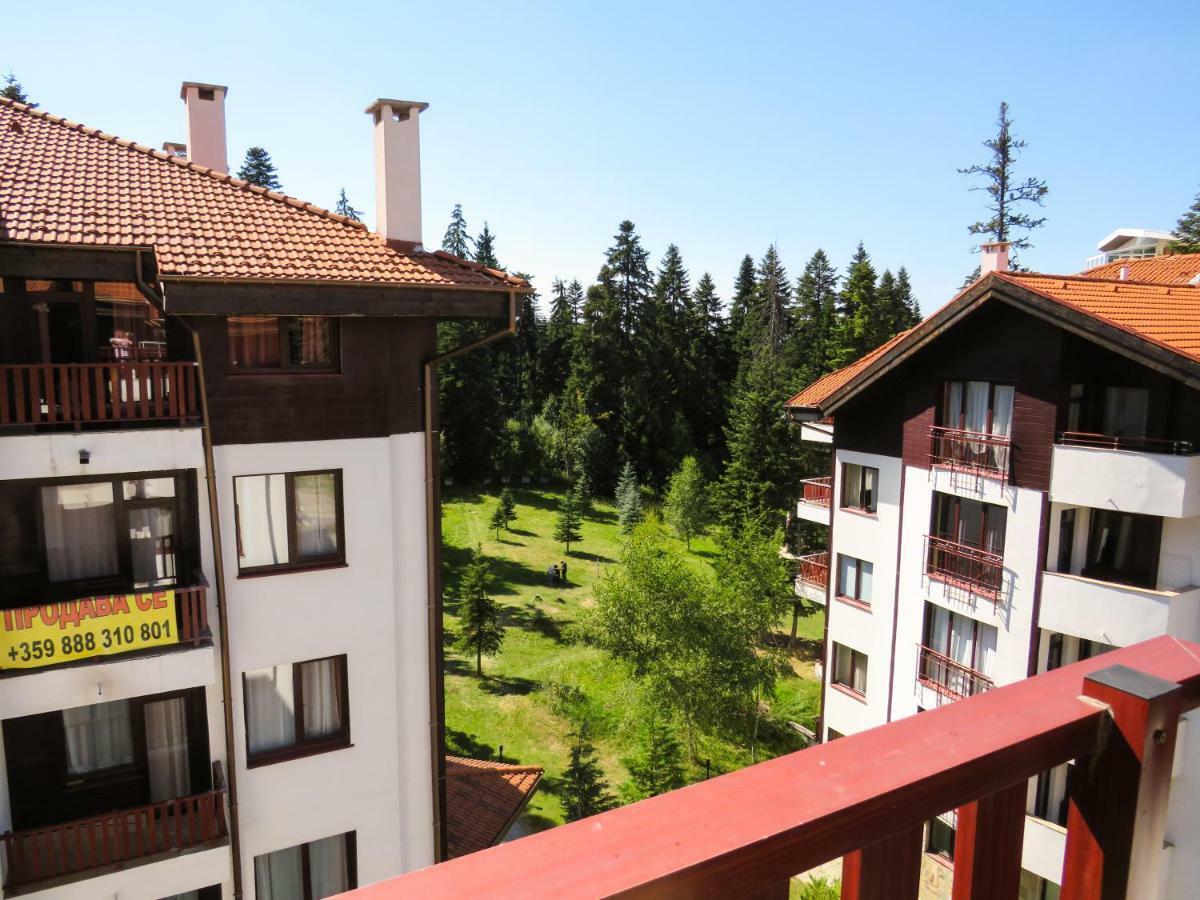 Flora Daisy Apartment Nr 28 Μπόροβετς Εξωτερικό φωτογραφία